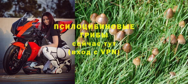 каннабис Белоозёрский
