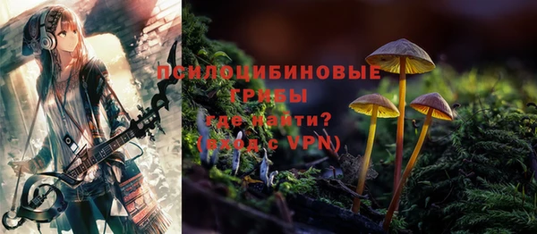 spice Белокуриха