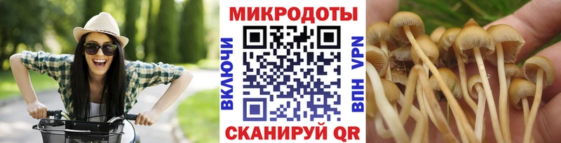 Псилоцибиновые грибы мухоморы  где продают наркотики  Городец 